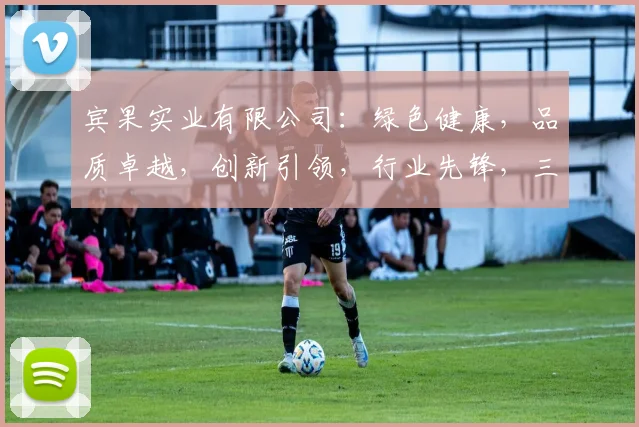宾果实业有限公司：绿色健康，品质卓越，创新引领，行业先锋，三大优势助力发展