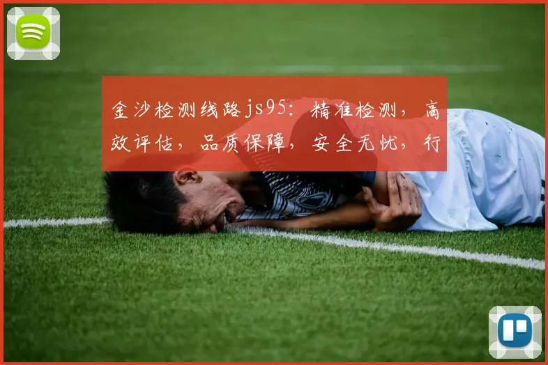 金沙检测线路js95：精准检测，高效评估，品质保障，安全无忧，行业首选