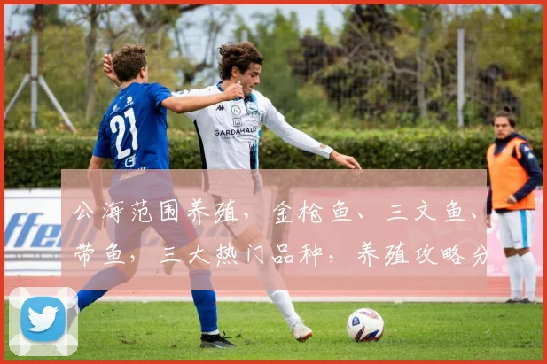公海范围养殖，金枪鱼、三文鱼、带鱼，三大热门品种，养殖攻略分享，不容错过